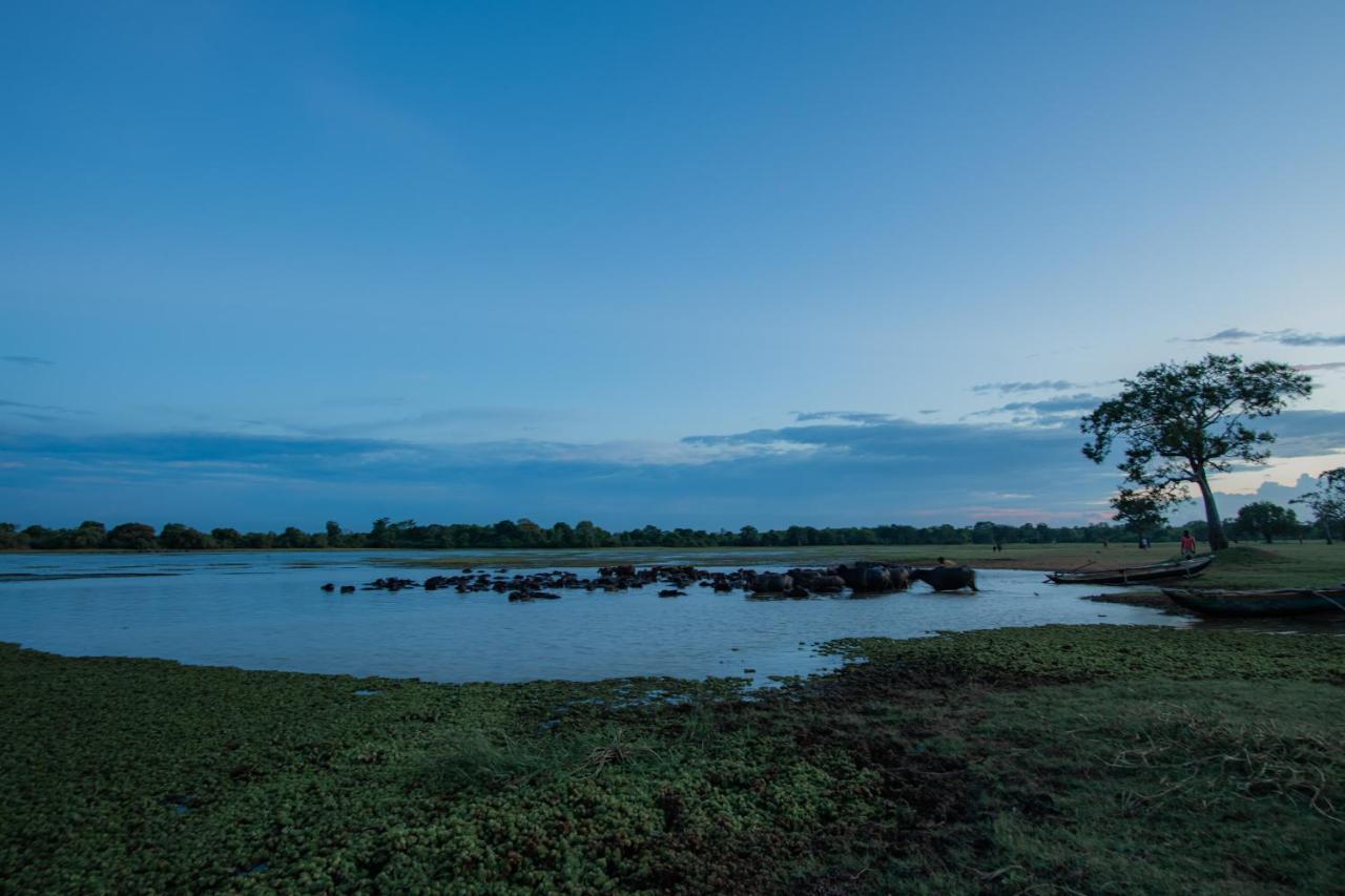 Tranquil Wild Tanamalwila Exterior foto